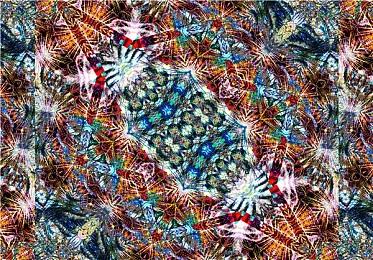 休闲模拟游戏《动物园模拟器》现已在Steam平台正式推出 获好评